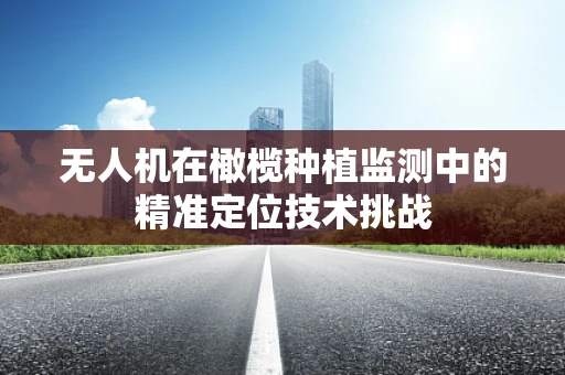 无人机在橄榄种植监测中的精准定位技术挑战