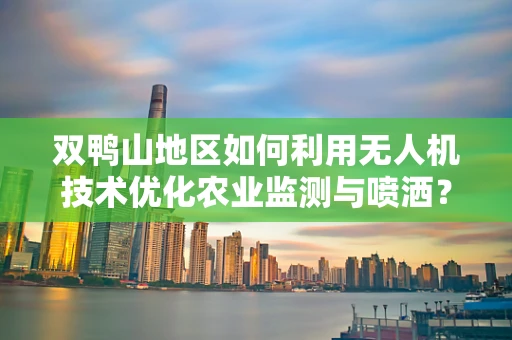 双鸭山地区如何利用无人机技术优化农业监测与喷洒？