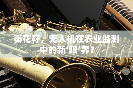 葵花籽，无人机在农业监测中的新‘眼’界？