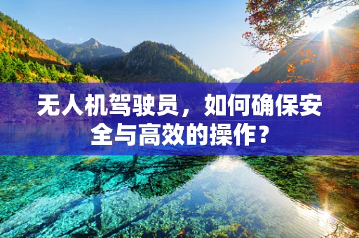 无人机驾驶员，如何确保安全与高效的操作？