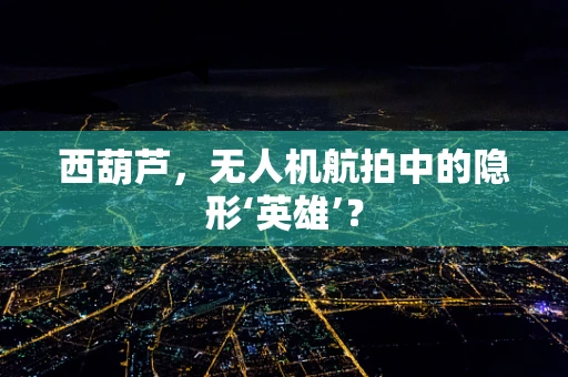 西葫芦，无人机航拍中的隐形‘英雄’？