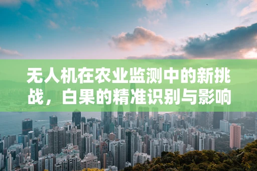 无人机在农业监测中的新挑战，白果的精准识别与影响分析