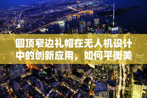 圆顶窄边礼帽在无人机设计中的创新应用，如何平衡美学与功能？