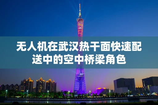 无人机在武汉热干面快速配送中的空中桥梁角色