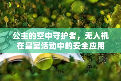 公主的空中守护者，无人机在皇室活动中的安全应用