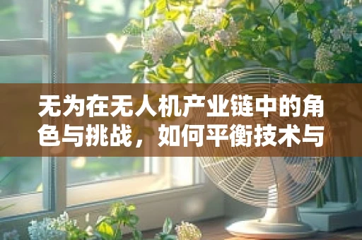 无为在无人机产业链中的角色与挑战，如何平衡技术与自然法则？
