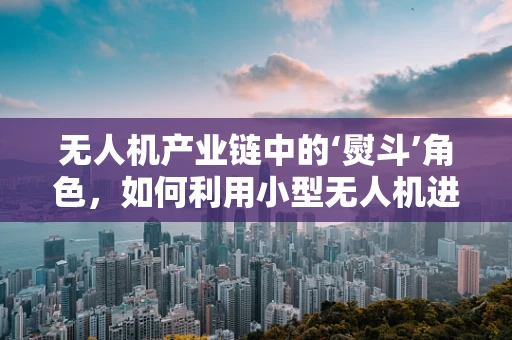 无人机产业链中的‘熨斗’角色，如何利用小型无人机进行精准农业灌溉？