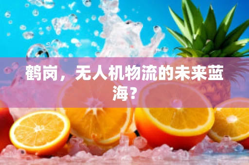 鹤岗，无人机物流的未来蓝海？
