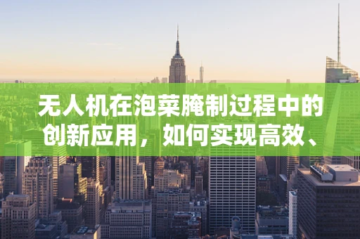 无人机在泡菜腌制过程中的创新应用，如何实现高效、无接触监控？