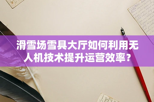 滑雪场雪具大厅如何利用无人机技术提升运营效率？
