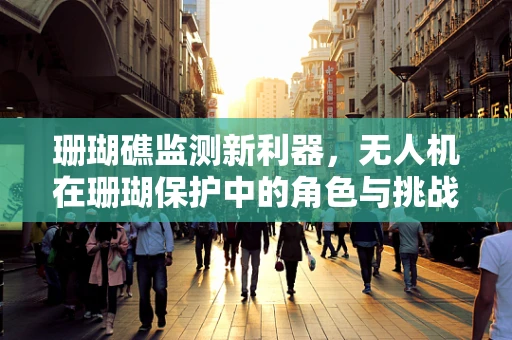 珊瑚礁监测新利器，无人机在珊瑚保护中的角色与挑战？