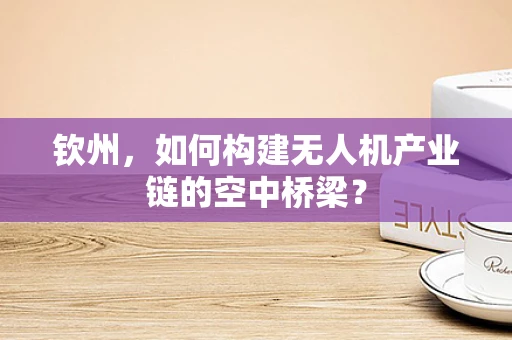 钦州，如何构建无人机产业链的空中桥梁？