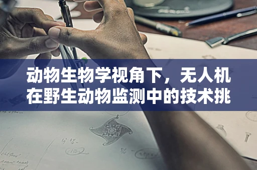 动物生物学视角下，无人机在野生动物监测中的技术挑战与机遇？