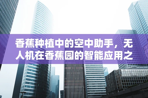 香蕉种植中的空中助手，无人机在香蕉园的智能应用之问