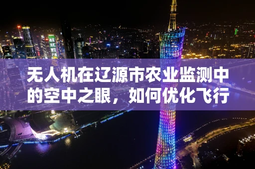 无人机在辽源市农业监测中的空中之眼，如何优化飞行路径以提升监测效率？