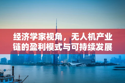 经济学家视角，无人机产业链的盈利模式与可持续发展路径