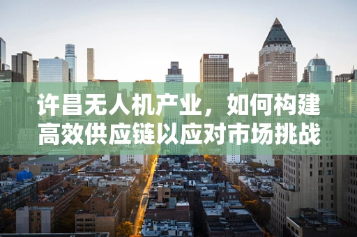 许昌无人机产业，如何构建高效供应链以应对市场挑战？