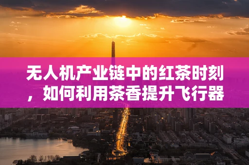 无人机产业链中的红茶时刻，如何利用茶香提升飞行器自主导航精度？