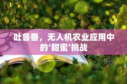 吐鲁番，无人机农业应用中的‘甜蜜’挑战