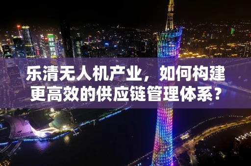 乐清无人机产业，如何构建更高效的供应链管理体系？