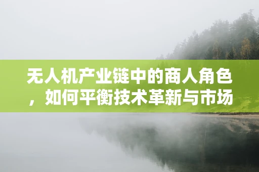 无人机产业链中的商人角色，如何平衡技术革新与市场需求？