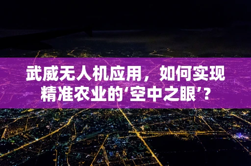 武威无人机应用，如何实现精准农业的‘空中之眼’？