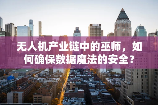 无人机产业链中的巫师，如何确保数据魔法的安全？