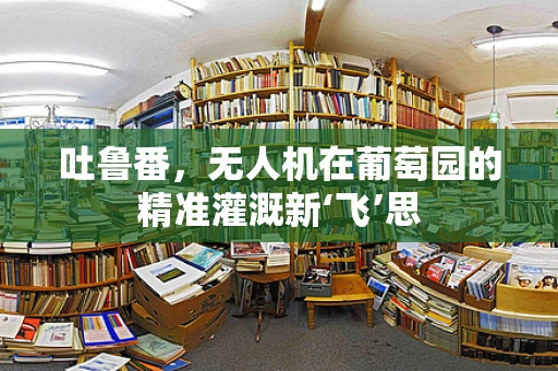 吐鲁番，无人机在葡萄园的精准灌溉新‘飞’思