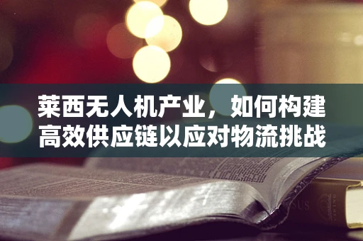 莱西无人机产业，如何构建高效供应链以应对物流挑战？