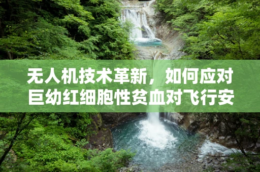 无人机技术革新，如何应对巨幼红细胞性贫血对飞行安全的影响？