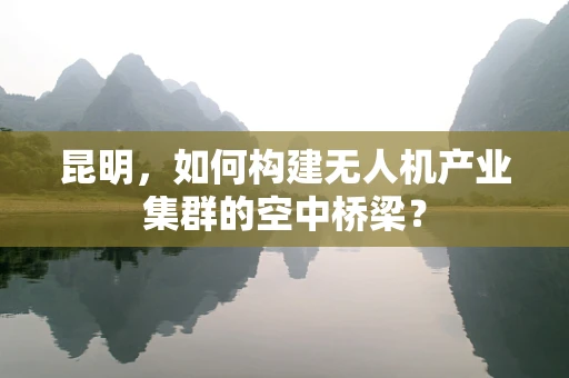 昆明，如何构建无人机产业集群的空中桥梁？