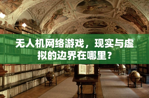 无人机网络游戏，现实与虚拟的边界在哪里？