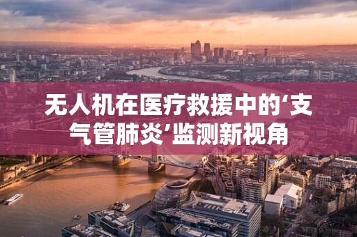 无人机在医疗救援中的‘支气管肺炎’监测新视角