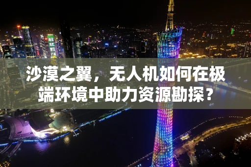 沙漠之翼，无人机如何在极端环境中助力资源勘探？