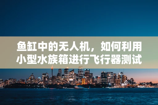 鱼缸中的无人机，如何利用小型水族箱进行飞行器测试？