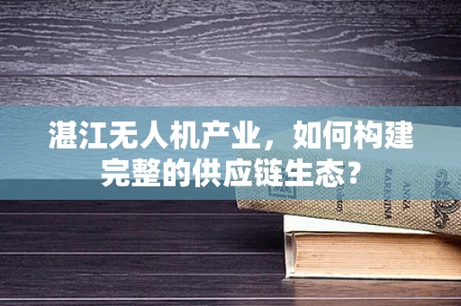 湛江无人机产业，如何构建完整的供应链生态？