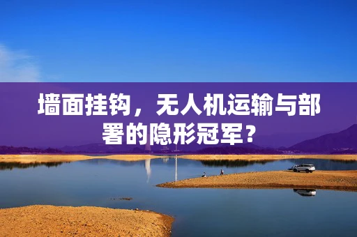墙面挂钩，无人机运输与部署的隐形冠军？