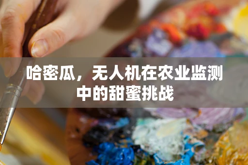 哈密瓜，无人机在农业监测中的甜蜜挑战