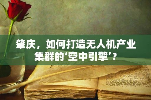 肇庆，如何打造无人机产业集群的‘空中引擎’？