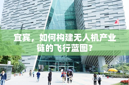 宜宾，如何构建无人机产业链的飞行蓝图？