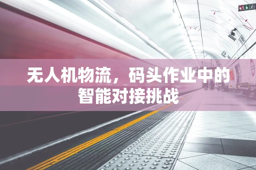 无人机物流，码头作业中的智能对接挑战