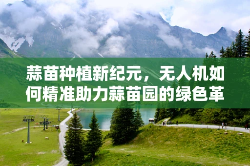 蒜苗种植新纪元，无人机如何精准助力蒜苗园的绿色革命？
