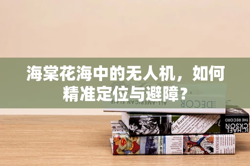 海棠花海中的无人机，如何精准定位与避障？