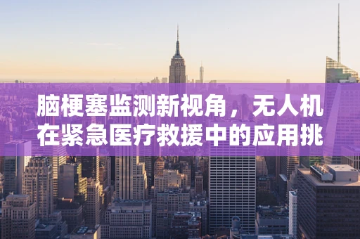 脑梗塞监测新视角，无人机在紧急医疗救援中的应用挑战
