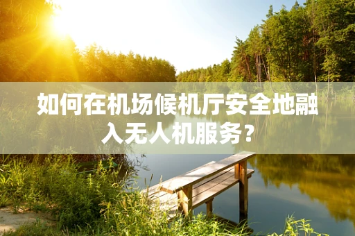 如何在机场候机厅安全地融入无人机服务？