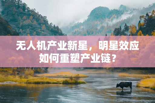 无人机产业新星，明星效应如何重塑产业链？
