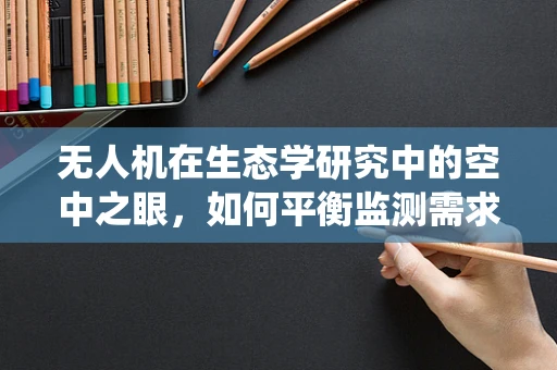 无人机在生态学研究中的空中之眼，如何平衡监测需求与生物栖息地保护？