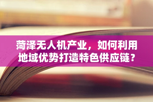 菏泽无人机产业，如何利用地域优势打造特色供应链？