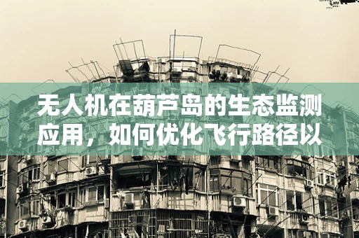 无人机在葫芦岛的生态监测应用，如何优化飞行路径以减少对自然环境的影响？