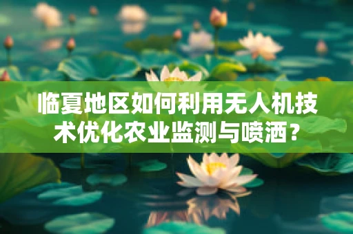 临夏地区如何利用无人机技术优化农业监测与喷洒？